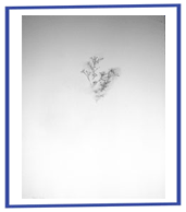 Untitled. By Vija Doks.